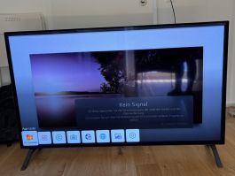 LG OLED55A19LA Fernseher 55 Zoll guter Zustand