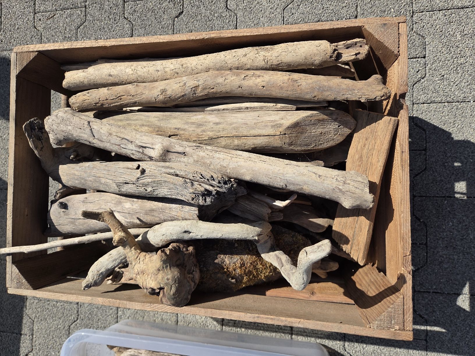 Articoli in legno: Schwemmholz – Usato da Beinwil am See venduto da stoeffi83 3
