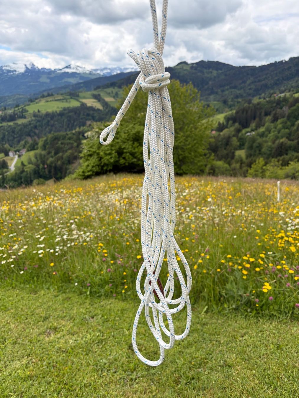 Parelli Cordes: Parelli Feather lines weiss neu – Neuf (Voir description) à Altstätten SG par wolf223