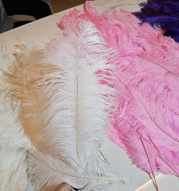 Gefärbte hochwertig Federn Echtfeder Weiss, Rosa und Violett 4