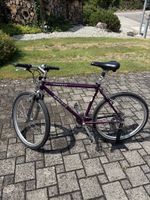Mondia Everest MtB