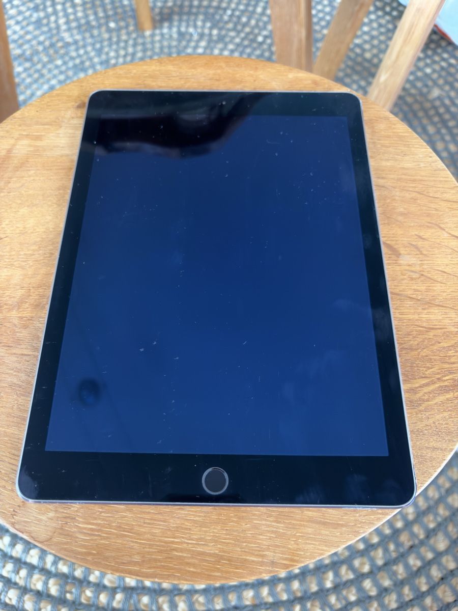 Apple Tablet PC: Apple Ipad Air 2 – Usato da Richterswil venduto da jan_b2vx