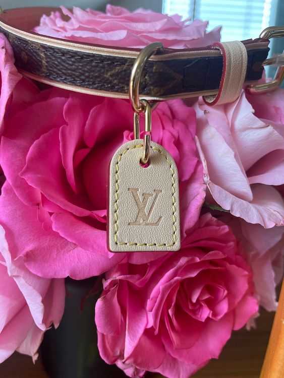 Louis Vuitton Hundehalsband (Neu und originalverpackt) in Ksnacht ZH fr  CHF 190  mit Lieferung auf Ricardo kaufen