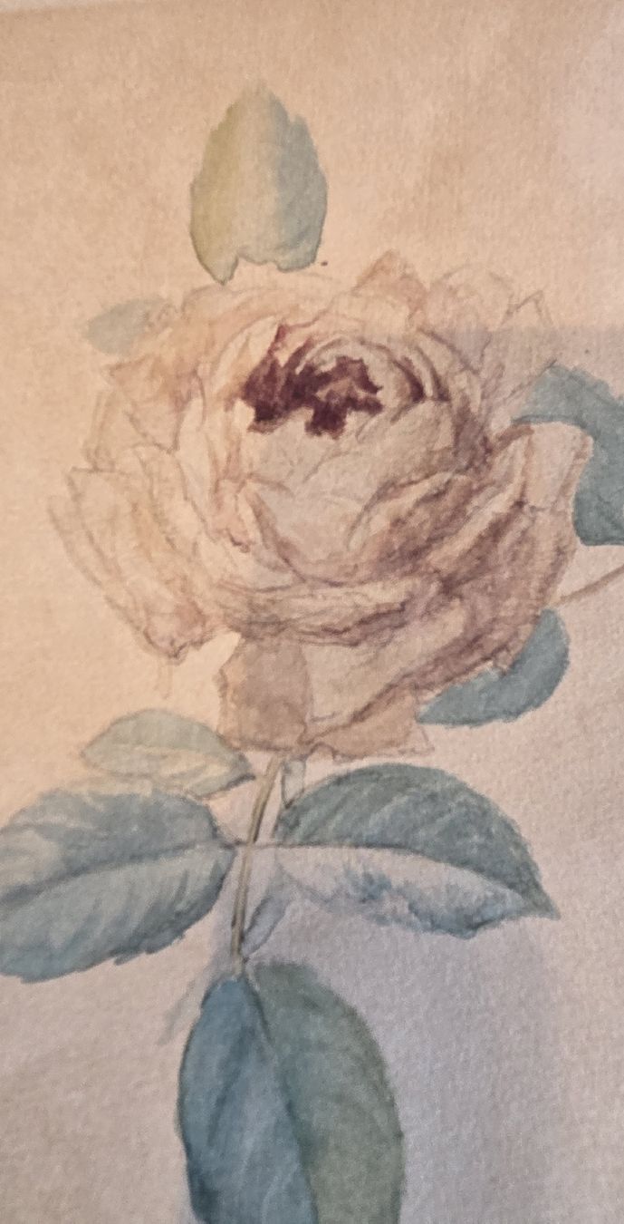 Dipinti: Original Aquarell Rose handgeschöpftes Papier – Usato da Rehetobel venduto da hobirot01