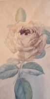 Original Aquarell Rose handgeschöpftes Papier