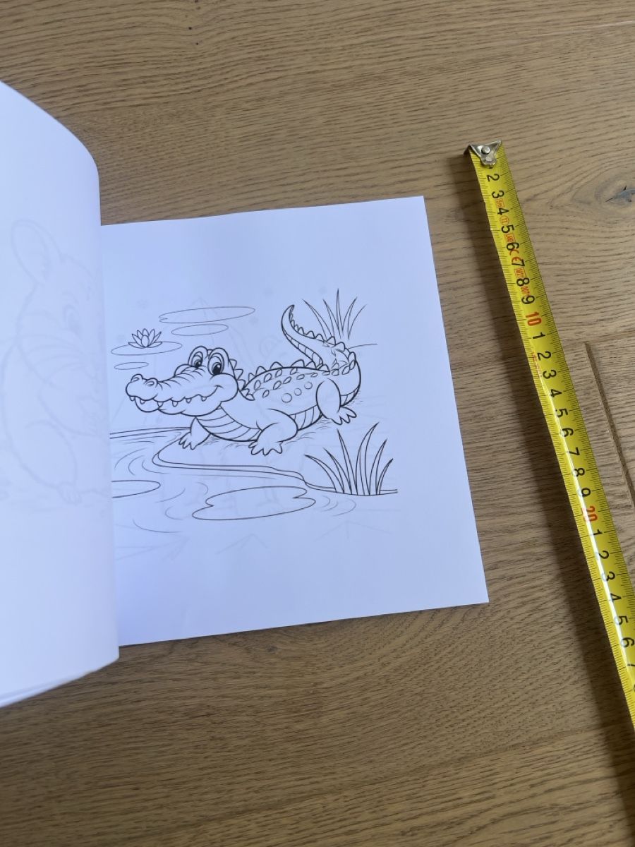 Bücher: Neu: Malbuch "Meine Tierfreunde" ab 5 Jahren – Neu (gemäss Beschreibung) aus Oensingen von katepe 2