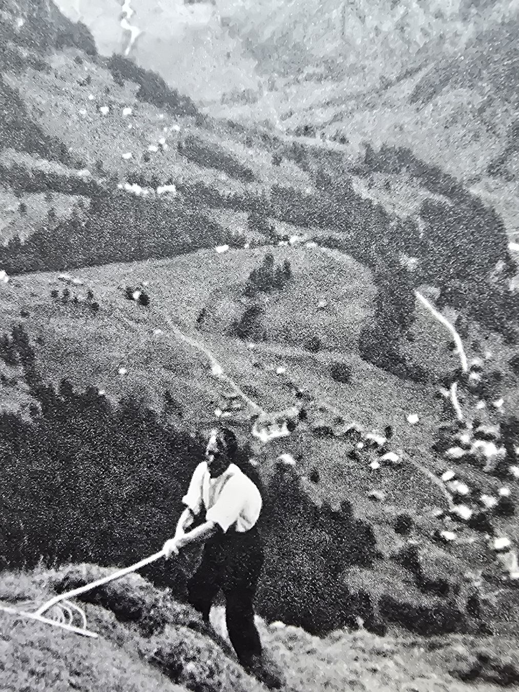 Libri: Paul Senn Bauer und Arbeiter, 1943 – Usato da Hedingen venduto da mickway 6