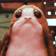 Profile image of yodac3po