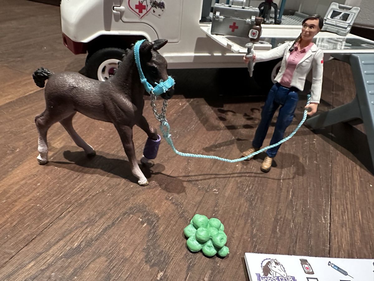 Schleich Giocattoli: Schleich - Mobile Tierarztpraxis – Usato da Wangen b. Olten venduto da kellybundy31 2