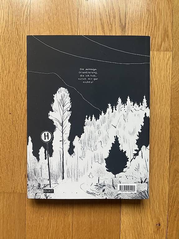 Fumetti: outline graphic novel – Usato da Bern venduto da sil_zu 1