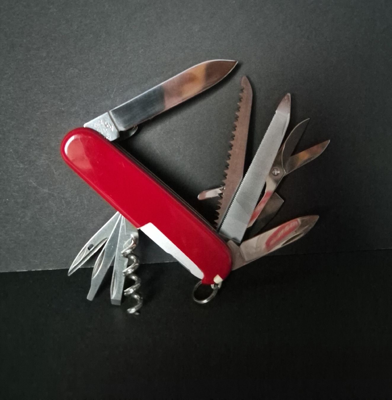 Victorinox Coltelli tascabile: Victorinox Ranger Camping – Usato da Thun venduto da patluv 1