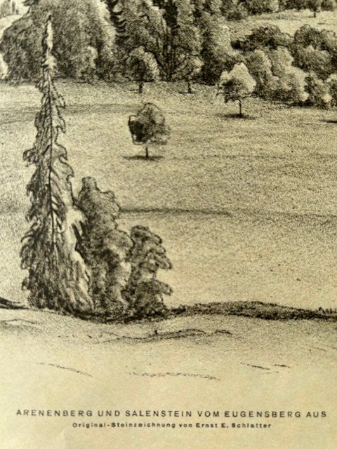 Grafica & Litografie: ✏️ Arenenberg + Salenstein Lithographie E. E. Schlatter – Usato da Ruswil venduto da Tango23 1