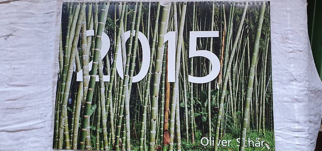 Calendari: Jahreskalender Blick ins 2015 von Oliver Schär – Usato da Basel venduto da storchenricardo