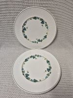 2x Ess-/Speiseteller Villeroy & Boch Green Park, Top Zustand