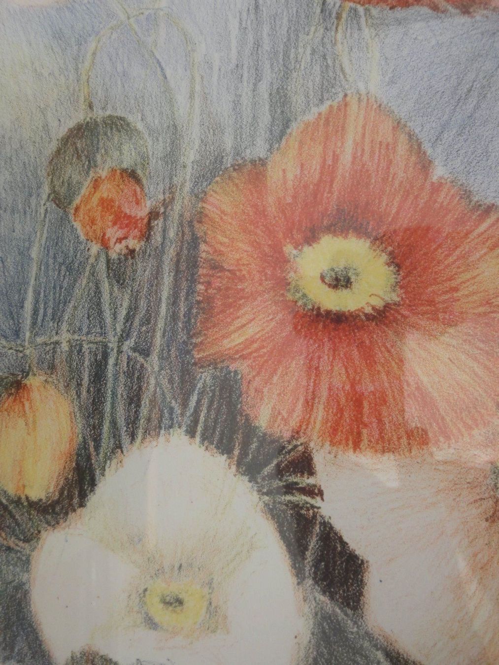 Grafica & Litografie: Glauser Lotti, 1953 - Mohnblumen - Steinlithographie – Nuovo (secondo la descrizione) da Biel/Bienne venduto da 07helios032 3