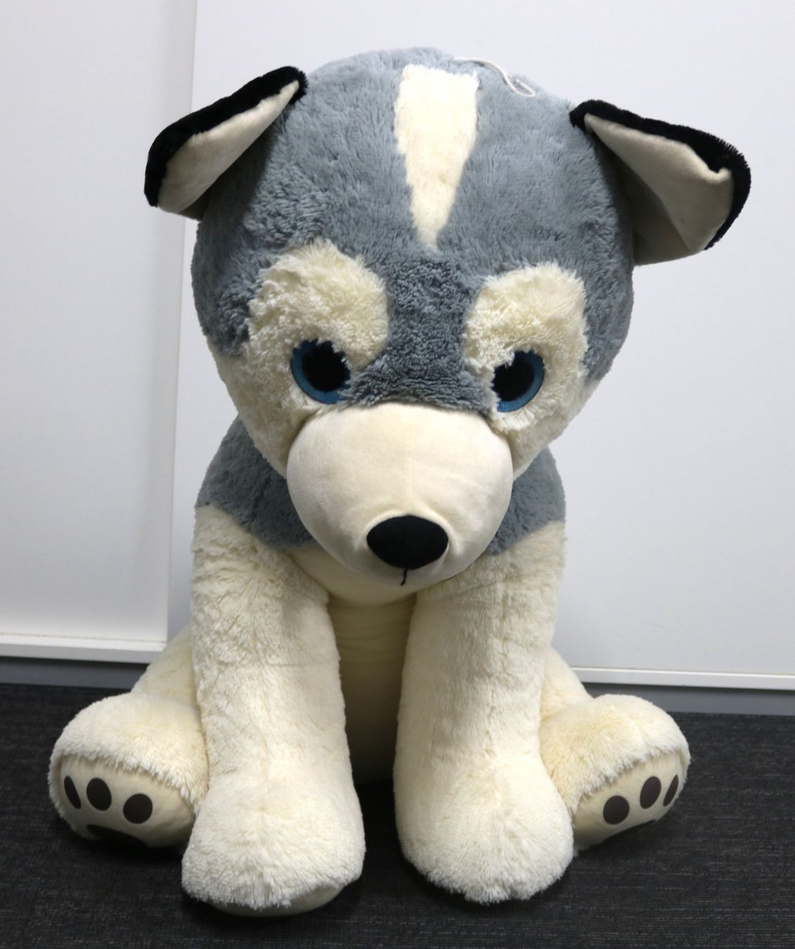 Jouets: Grosser Plüsch-Husky – D'occasion à Volketswil par brockipfannenstil