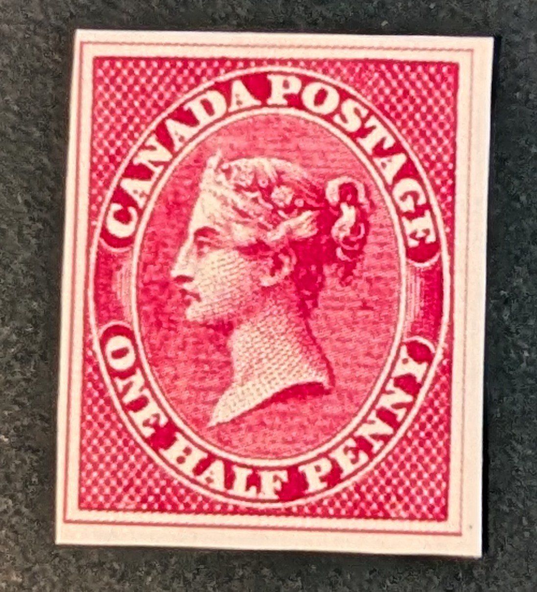 Tutti i francobolli: 1857 Canada #8 One half Penny / Replika – Nuovo (secondo la descrizione) da Allschwil venduto da odracir_philipp