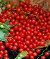 Sweet Pea - Wildtomate - 50 Samen