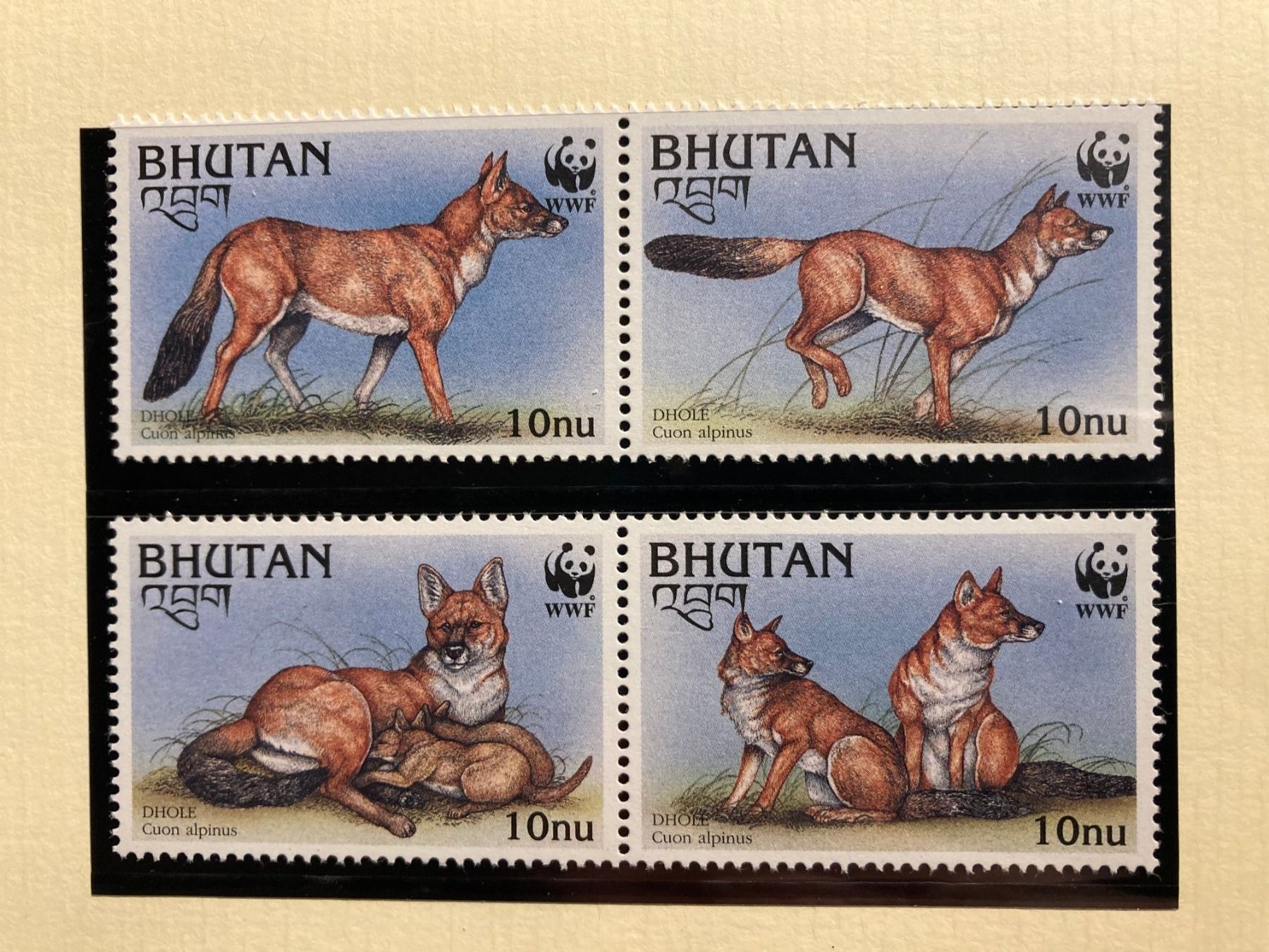 Tutti i francobolli: Bhutan 1997 Satz WWF Rothund postfrisch – Nuovo (secondo la descrizione) da Liestal venduto da schnueps