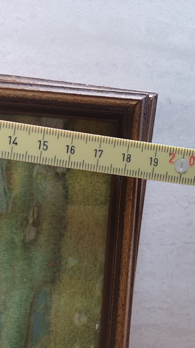 Foto & Immagini: 2 Bilder Segantini  – Usato da Flawil venduto da Naphtali 2