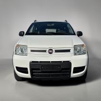 Fiat Panda 1.2 4x4 - Frisch ab MFK und Service