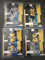 Dortmund card