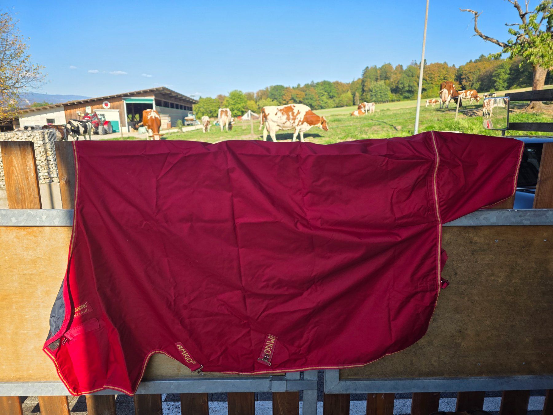 Amigo Decken & Deckenzubehör: Pferdedecke AMIGO Hero 6 Lite 125 rot – Gebraucht aus Mörigen von Martina777