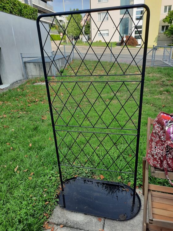 Aprikosenbaum, Rosmarin, Oregano, Ikea Rankhilfe, Holztreppe Kaufen