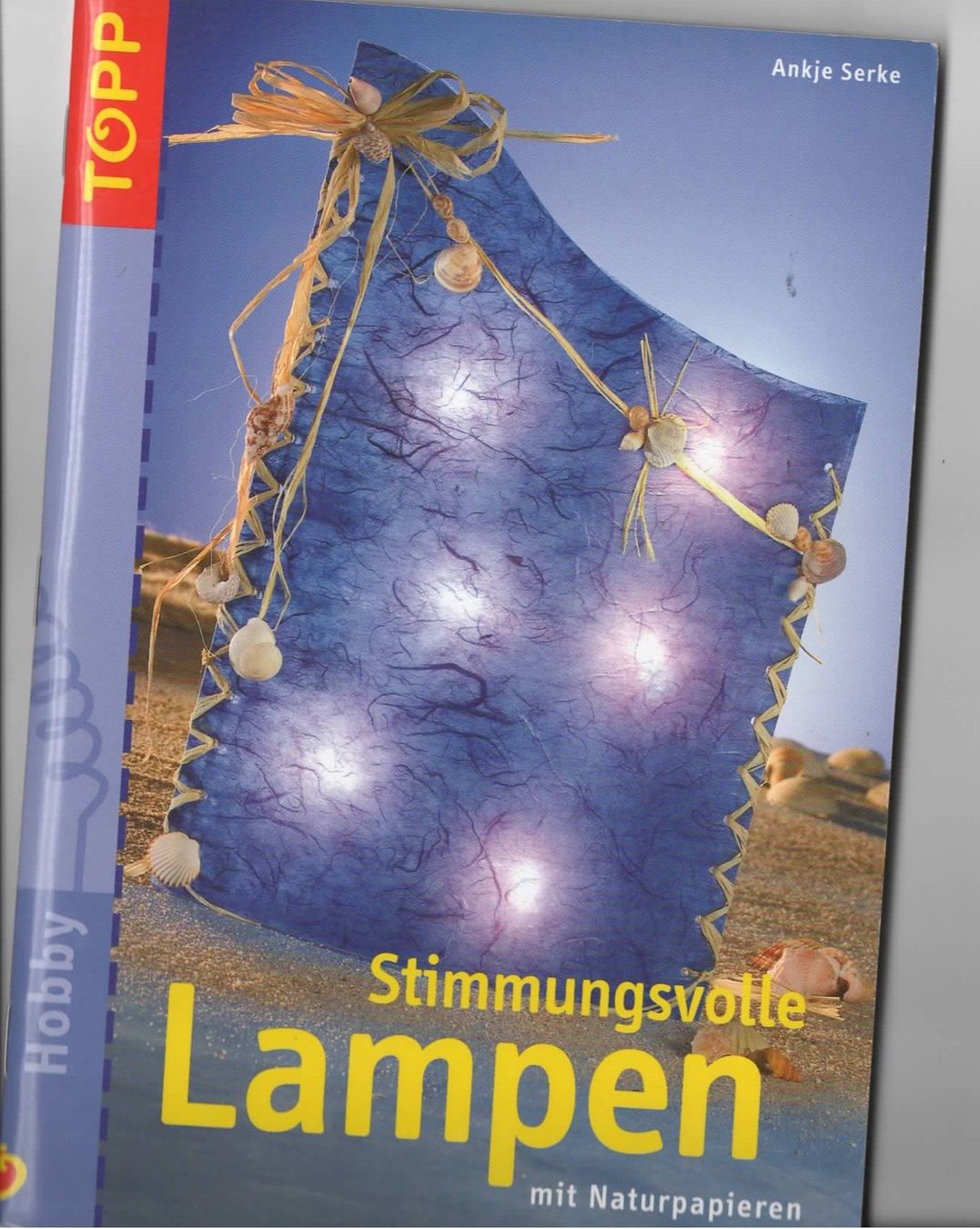Libri: 1 Bastelbuch Stimmungsvolle Lampen – Nuovo (secondo la descrizione) da Basel venduto da Happybaer