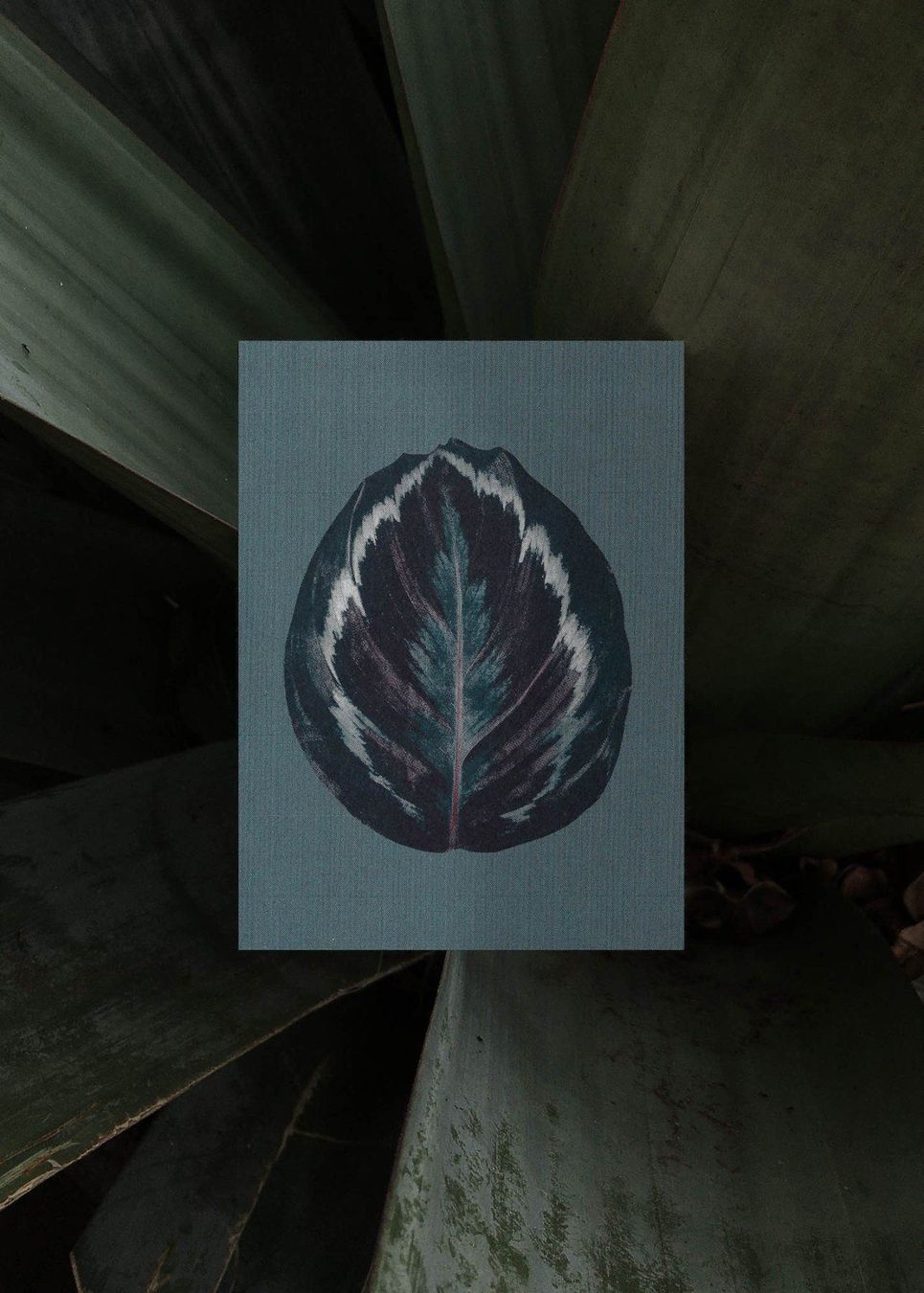 Cartoline: N° 17 Praying Hands – Nuovo e nell'imballaggio originale da Zürich venduto da BienvenueStudios 4