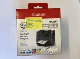 4 Stk. Original Canon PGI-2500 Patronen in Multipack