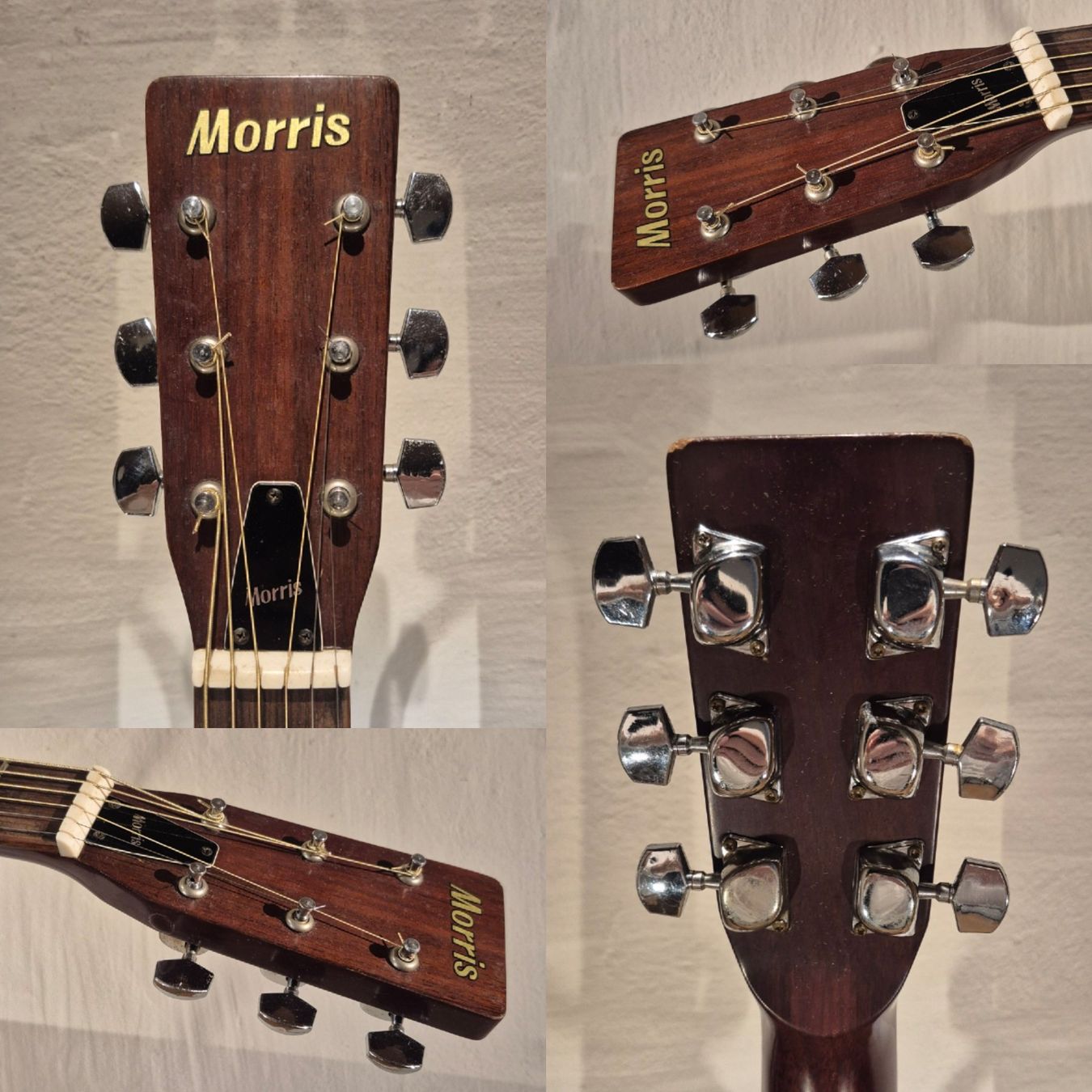 Strumenti musicali: Western Gitarre Morris F-301 – Usato da Winterthur venduto da NorrSydGuitars 3
