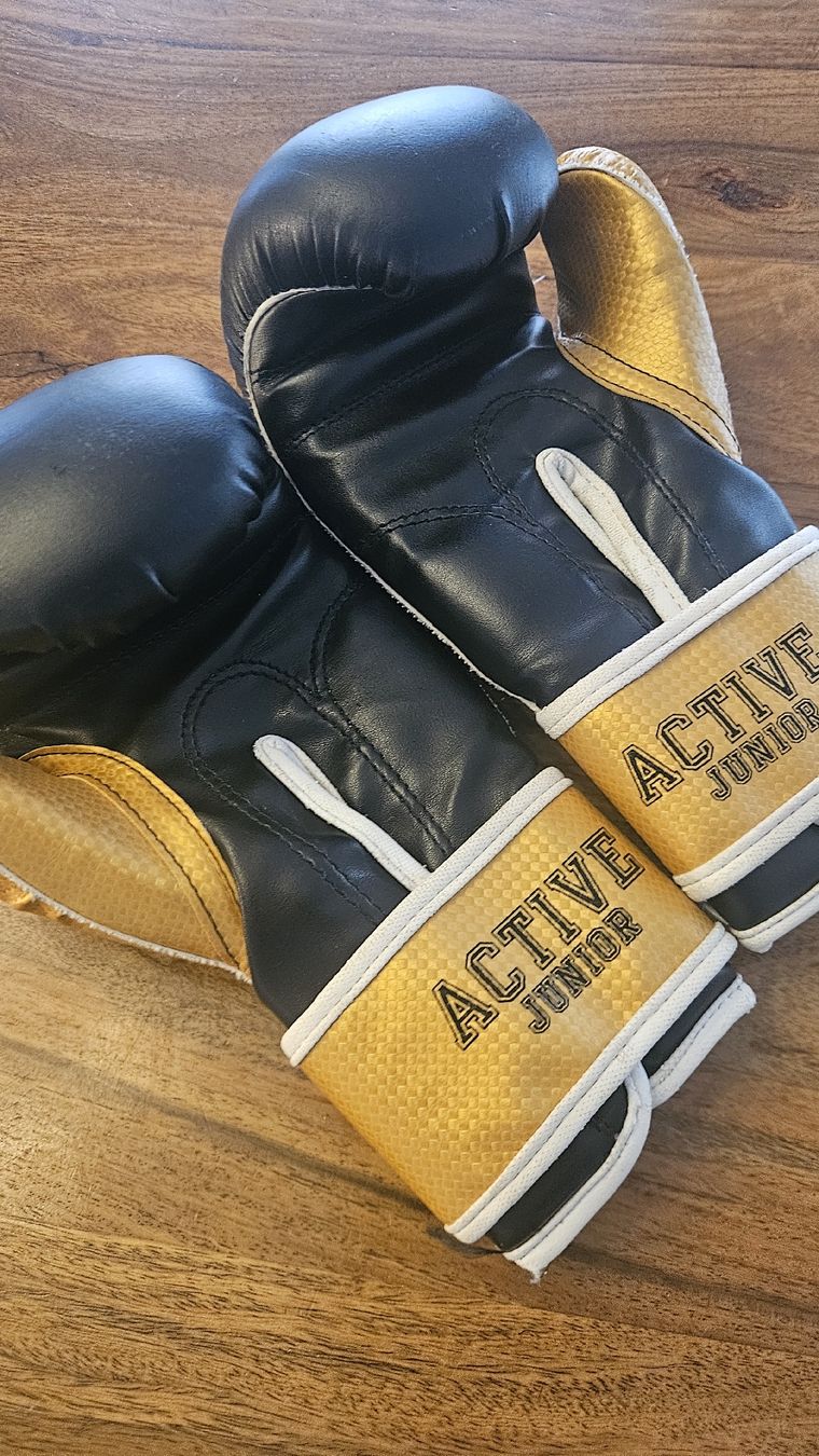Guanti: LEONE Boxhandschuhe, neuwertig - junior – Usato da Zollikofen venduto da Baeta82 2