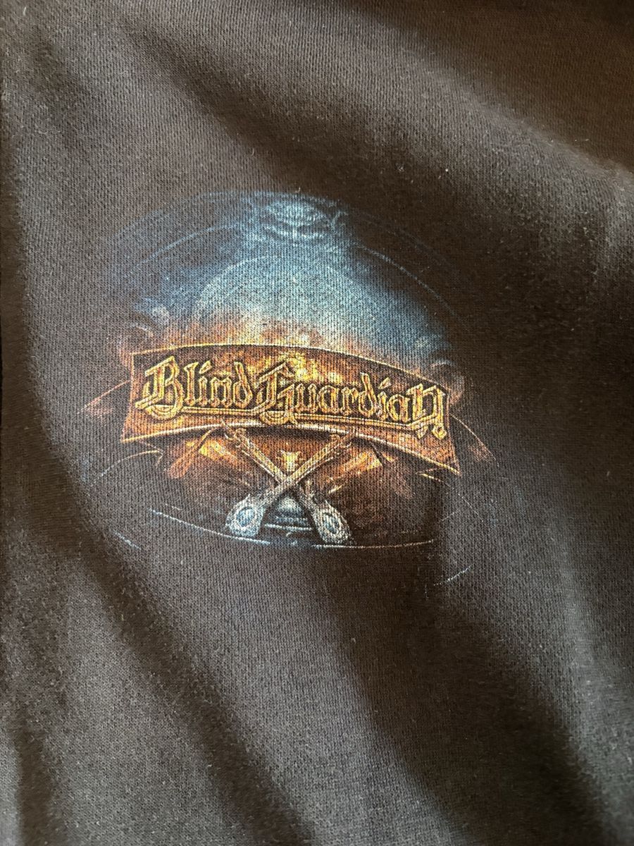 Maglioni & Felpe: HOODIE bilnd guardian – Usato da Herzogenbuchsee venduto da warrior77 1