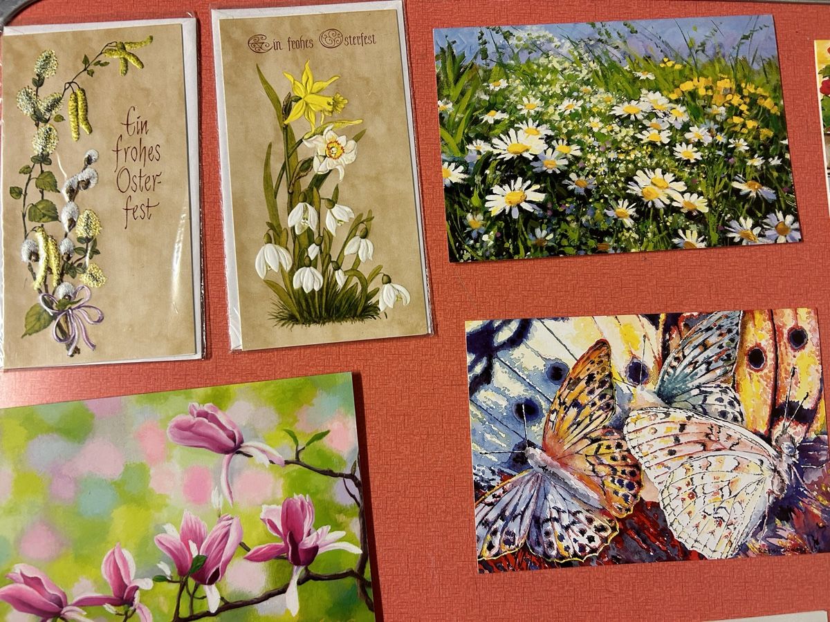 Karten: 19 Postkarten, Blumen, Katze, Ostergrusskarten – Gebraucht aus Lanzenhäusern von vic63 1