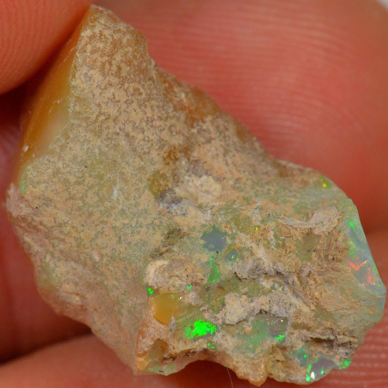 Pietre preziose: 10.7 Karat - Roher Äthiopischer Welo Opal – Nuovo (secondo la descrizione) da Rüti ZH venduto da DeinOpal