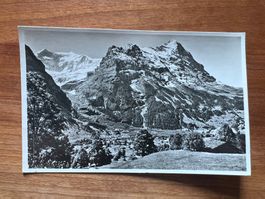 AK 1948 Grindelwald  (G3852)