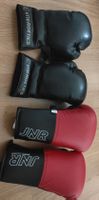 Gants de Boxe Energetics et JNR - Entraînement Intensif!