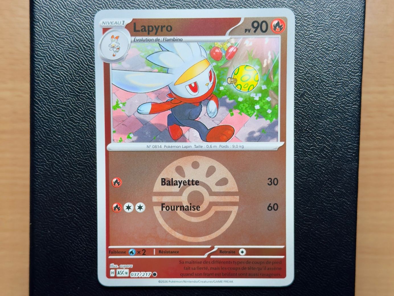 Pokémon Carte collezionabili: Lapyro Reverse (037/217) - Héros Transcendants - ASC FR – Usato da Chézard-St-Martin venduto da Kro_Cards
