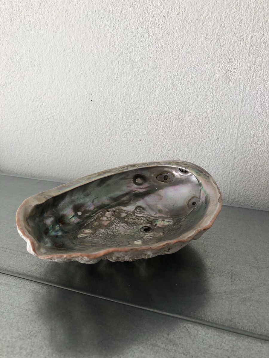 Minerali & Pietre curative: Schöne große Abalone-Muschel – Usato da Basel venduto da Amechan. 6