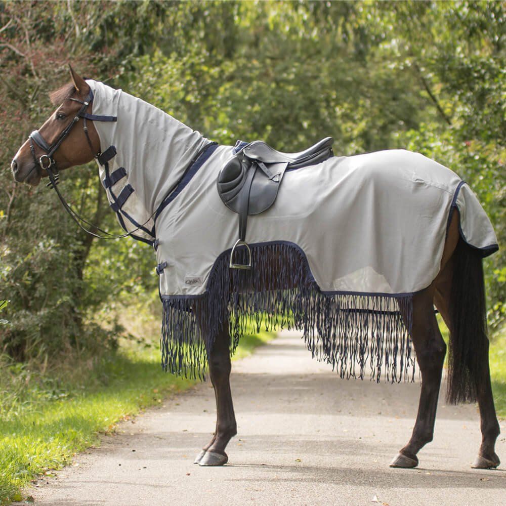 Coperte: QHP Fliegenausreitdecke/Fliegendecke 155cm – Usato da Unterlunkhofen venduto da Schnueffelchen1
