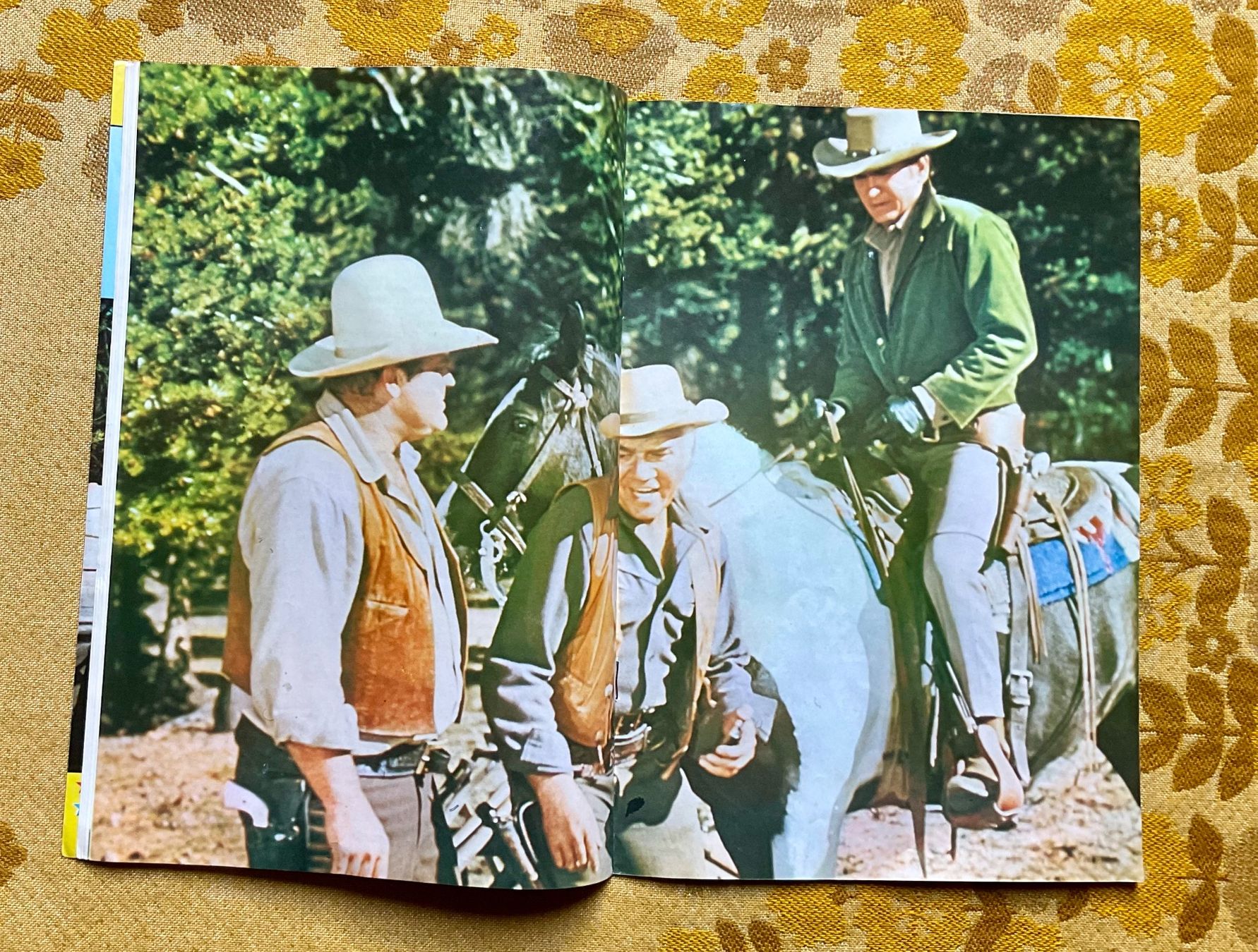 Fumetti: Bonanza Heft Nr 41 von 1975 ? – Difettoso da Endingen venduto da nathan05 4