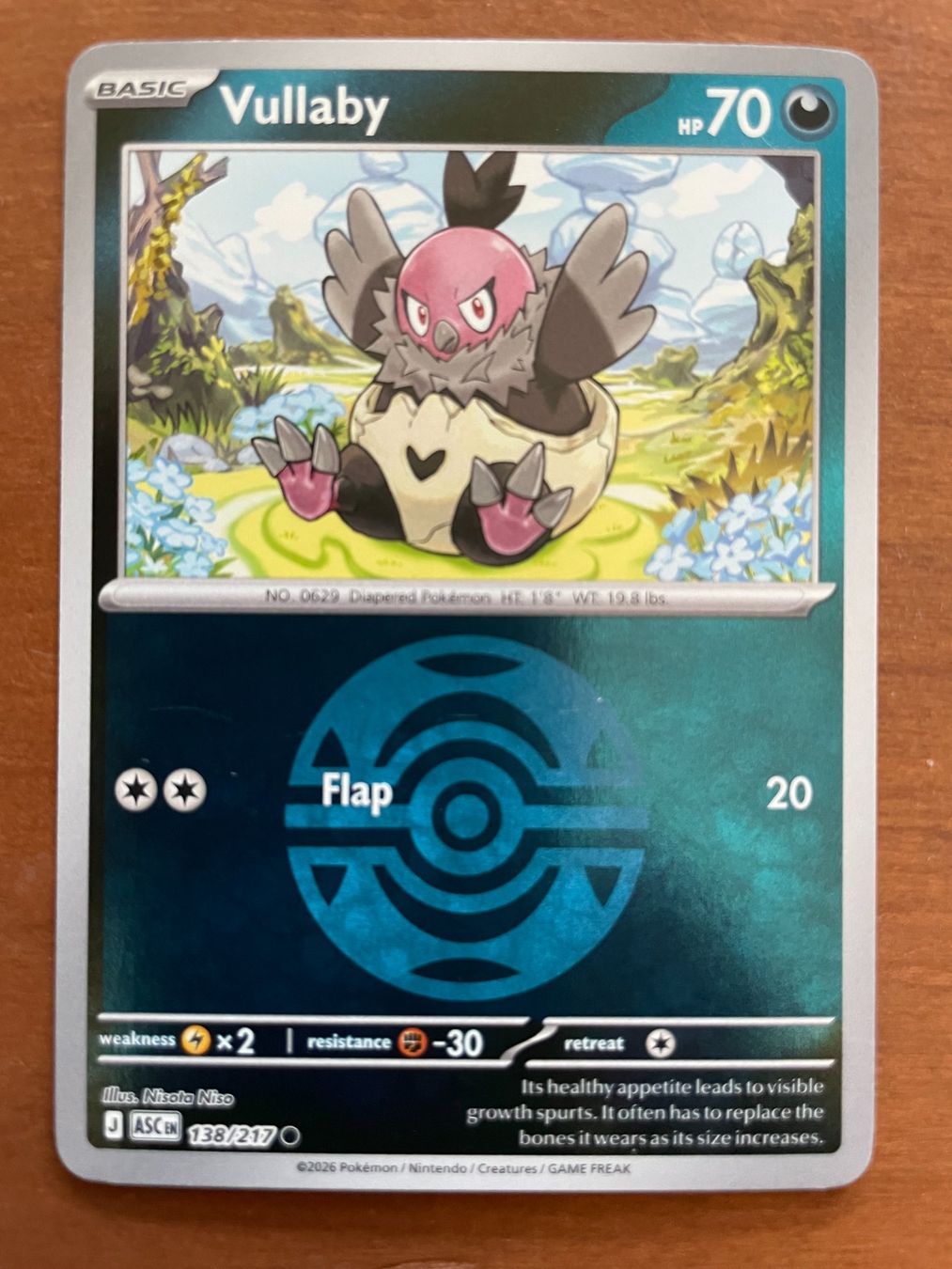 Pokémon Carte collezionabili: Pokemon Vullaby Reverse (Versand gratis) – Nuovo (secondo la descrizione) da Chur venduto da Angerson