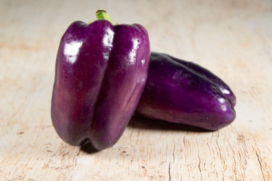 Piante & sementi: Poivron Purple Bell  10g – Nuovo (secondo la descrizione) da Bremblens venduto da FIBONACCI369 2