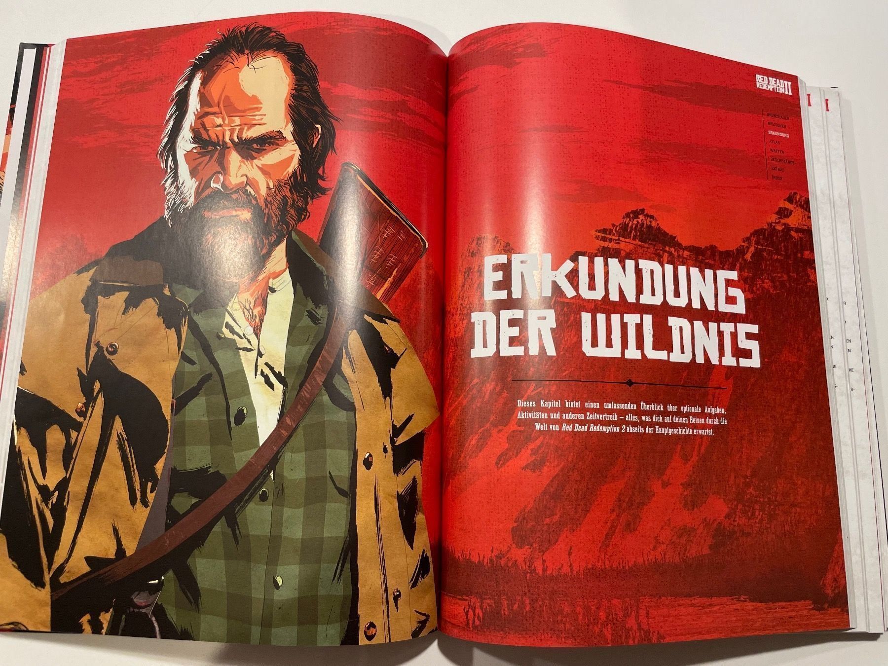 Libri: Red Dead Redemption 2 | Buch Collectors Edition – Nuovo (secondo la descrizione) da Thun venduto da FairHandlungssache 3
