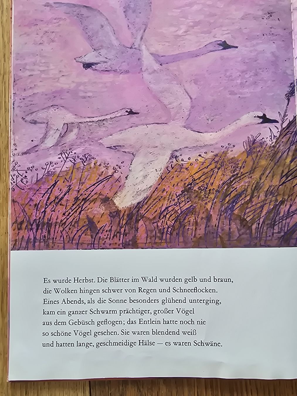Bücher: Andersen Das hässliche Entlein  – Gebraucht aus Hedingen von mickway 3