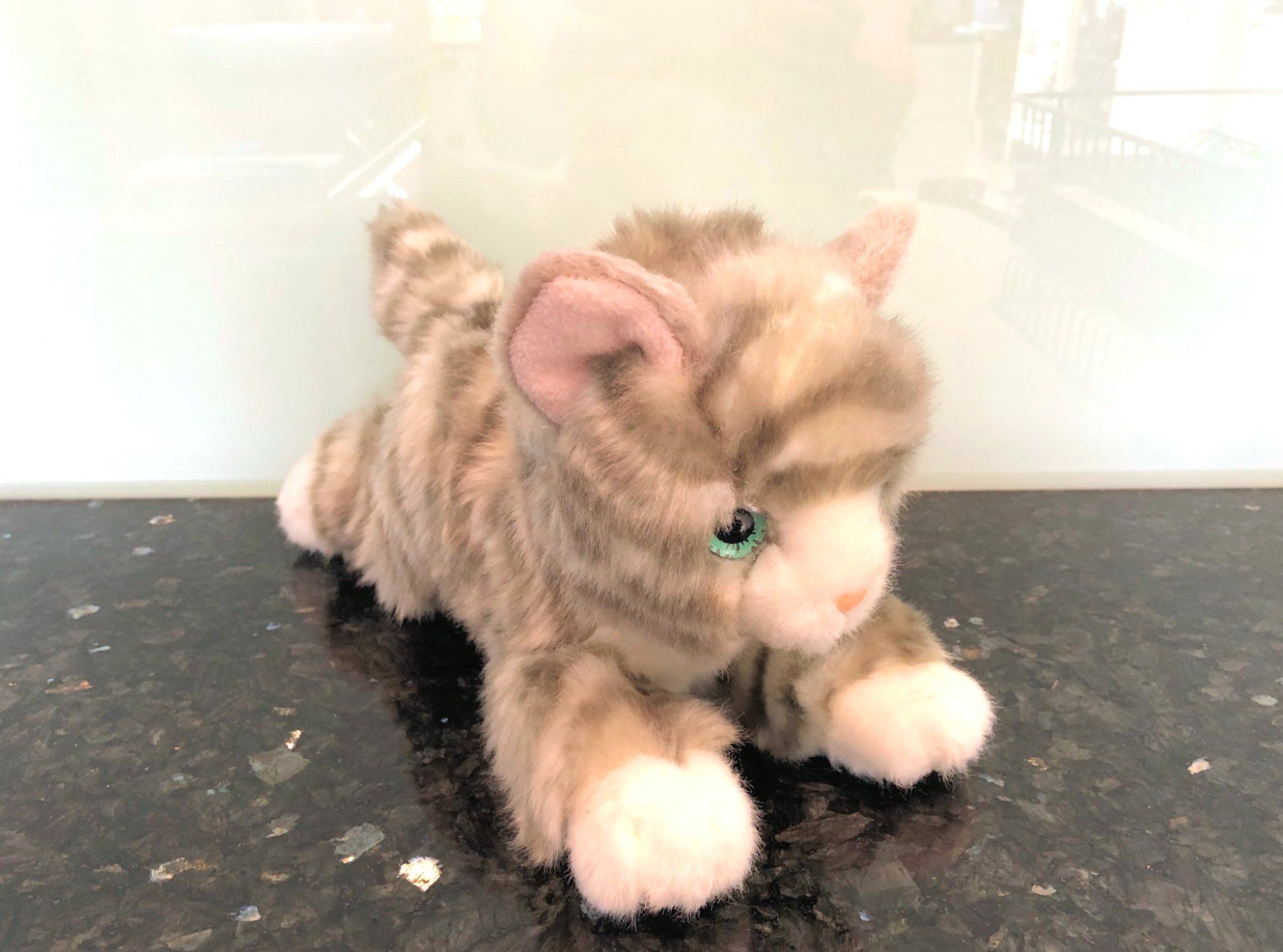 Giocattoli: Plüschtier "Katze" – Usato da Rüti ZH venduto da Jasna89