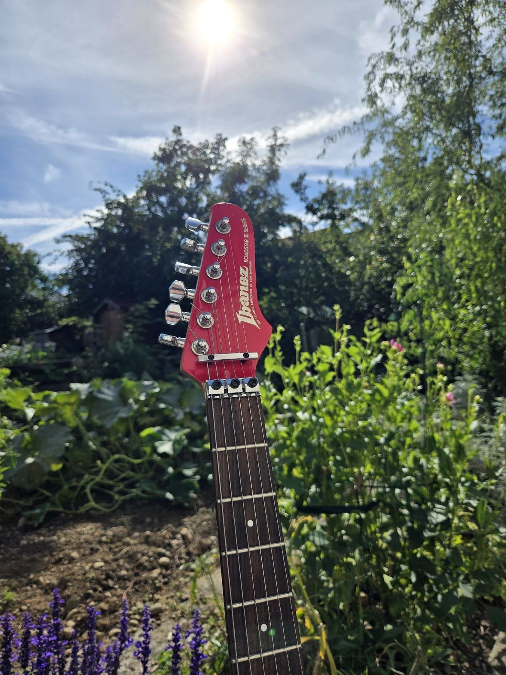Ibanez Strumenti musicali: Ibanez Series Floyd Rose custom – Usato da Rheinau venduto da eli_qrw8 2