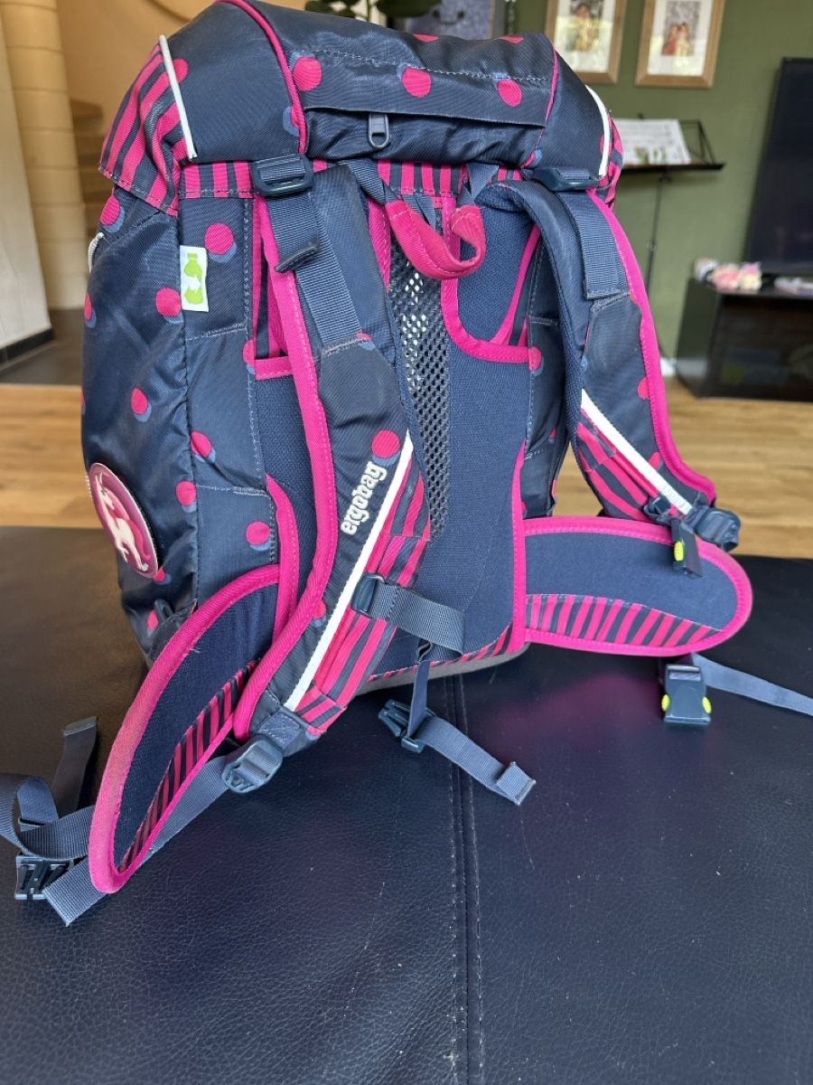Ergobag Borse & Zaini: Schulrucksack Ergobag gebraucht – Usato da Bülach venduto da eugig5 3