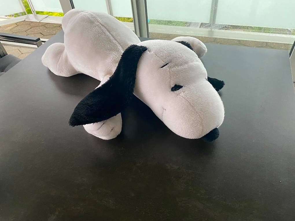Giocattoli: Grosser, Vintage Plüsch-Snoopy – Usato da Buchrain venduto da nic_9k5l